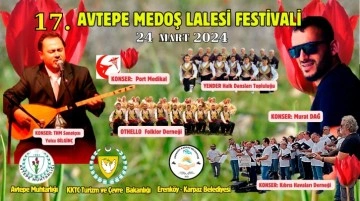 17.Avtepe Medoş Lalesi Festivali, Pazar günü yapılıyor