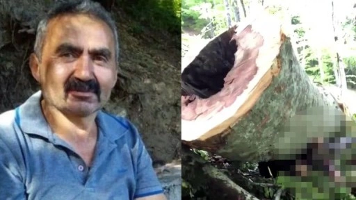Ac&#x131; olay: &#xDC;zerine a&#x11F;a&#xE7; devrilen i&#x15F;&#xE7;i kurtar&#x131;lamad&#x131;!