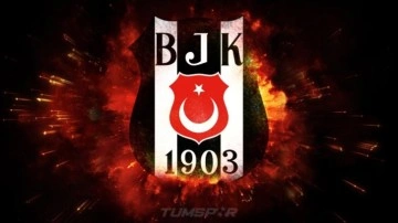 Beşiktaş'ta başkan adaylığı için 5 isim öne çıkıyor