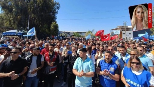 Emek&#xE7;iler al&#x131;n terinin pe&#x15F;inde