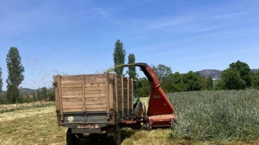 Kendi hayvan yemini üretti: Süt veriminde rekor artış sağladı
